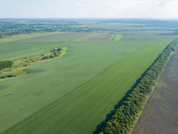 Campo agrícola verde. Vista aérea de drones. - Foto, Imagem