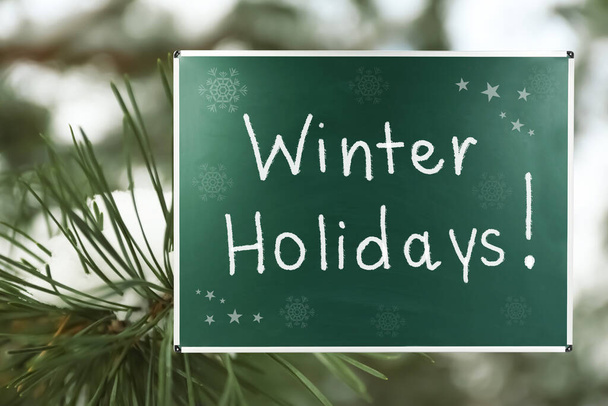 Text Winter Holidays on school chalkboard against pine branch covered with snow - Φωτογραφία, εικόνα