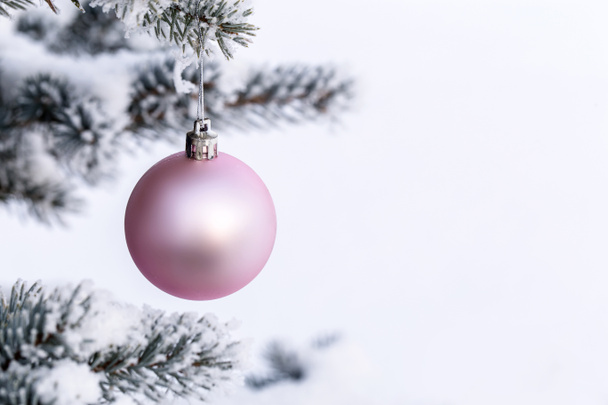Dekoracje świąteczne na gałęzi sosny - Zdjęcie, obraz