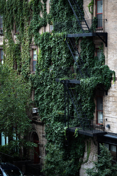Νέα Υόρκη, Νέα Υόρκη / ΗΠΑ - 5 Μαΐου 2020: Brown Brownstone σπίτια και προσόψεις. κτίρια Μπρούκλιν με παράθυρα  - Φωτογραφία, εικόνα