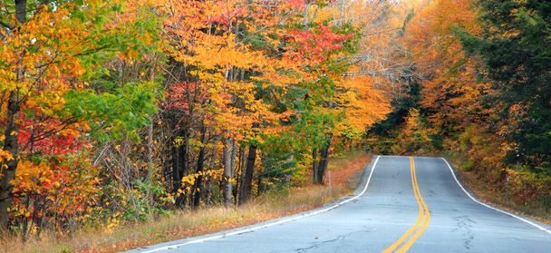 Coloridos árboles de otoño a lo largo de la ruta escénica en New Hampshire - Foto, Imagen