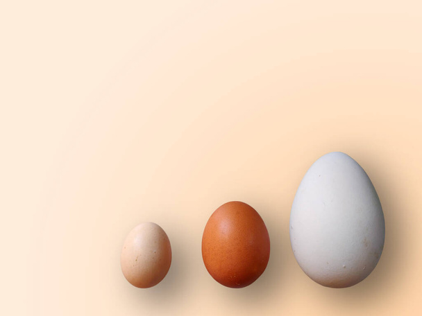 Uova di diverse dimensioni su sfondo arancione colore. Foto di alta qualità. Pollo, quaglia e struzzo impostano uova. Uova colorate per Pasqua. - Foto, immagini