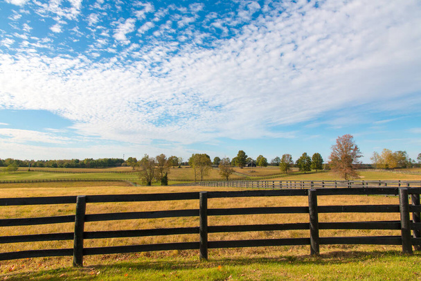 Красивый осенний пейзаж страны с пастбищами конных ферм. - Фото, изображение