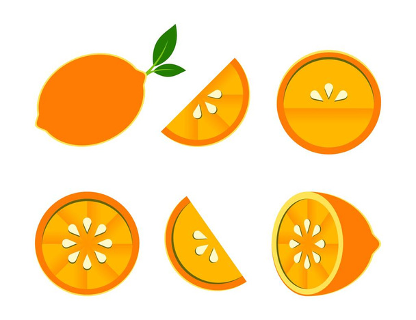 Orange tangerine grapefruit lemon lime on a white background. Vector illustration of summer fruits and citrus. Citrus icons silhouettes pictograms. Tropical fruit. Orange in parts. Orange slices - Vektor, kép