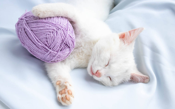 Un petit chaton blanc dort avec une boule de fil lilas. Le chaton a joué et s'est endormi. - Photo, image