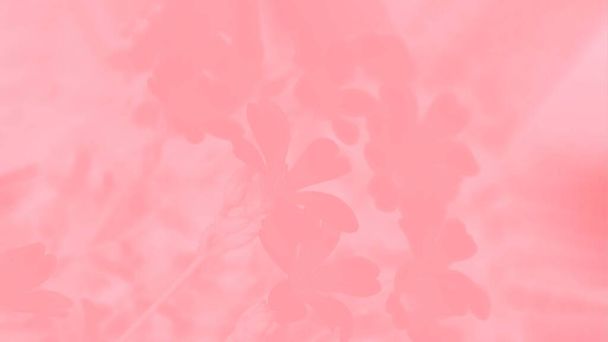 Pink coral color panorama background, flowers pattern - Photo, Image