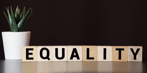 EQUALITY word made with building blocks, concept - Fotografie, Obrázek