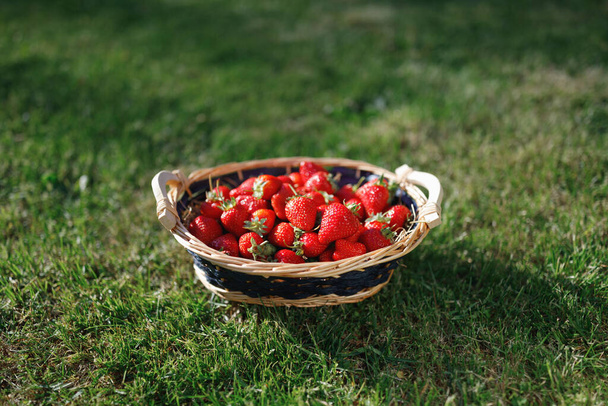 strawberries basket on green lawn background - Фото, изображение