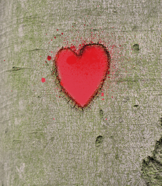 czerwone serce rzeźbione w drzewie - Zdjęcie, obraz