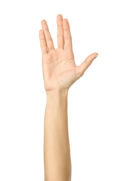 Vulcan salute. Woman hand with french manicure gesturing isolated on white background. Part of series - Photo, image