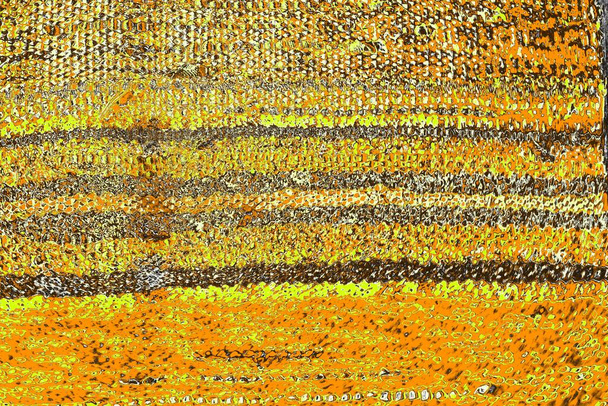 pared gruesa de color amarillo, fondo texturizado - Foto, Imagen
