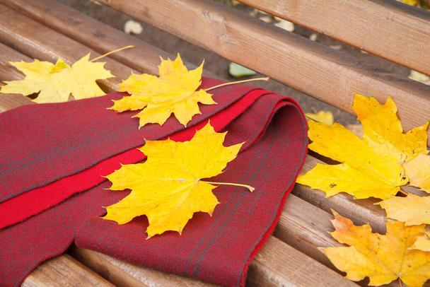 Wooden bench and a scarf, yellow dry leaves in the city park. Autumn theme. - Photo, Image
