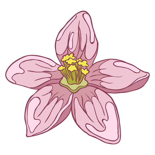 Ανθισμένο ροζ λουλούδι μήλου. Χειροποίητη απομονωμένη απεικόνιση σε λευκό φόντο - Διάνυσμα, εικόνα