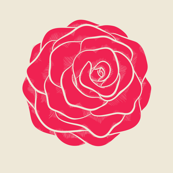 rosa rosa hermosa en un estilo gráfico dibujado a mano en colores vintage
 - Vector, imagen