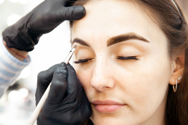 Master tinting of eyebrow hair women, brow correction - Photo, Image