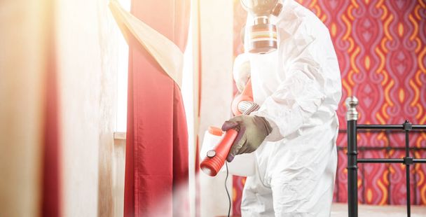 Worker specialist in white hazmat suits cleaning disinfecting cells coronavirus epidemic, clear virus home pandemic - Photo, Image