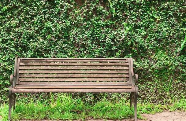 Zavřít přední pohled na prázdné staré dřevěné lavice v městském parku - Fotografie, Obrázek