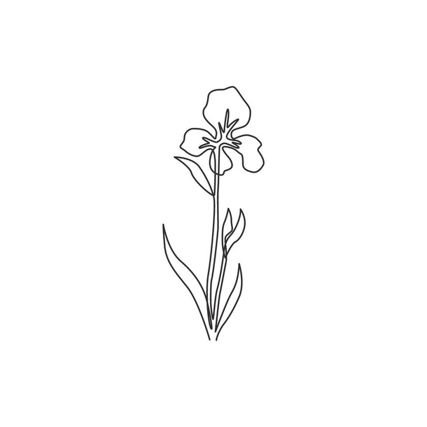Eine durchgehende Linie zeichnet Schönheit frische mehrjährige Pflanzen für Wanddekor Home Art Posterdruck. Dekoratives Irisblumen-Konzept für Einladungskarte. Moderne einzeilige Zeichnung Design Vektor Illustration - Vektor, Bild
