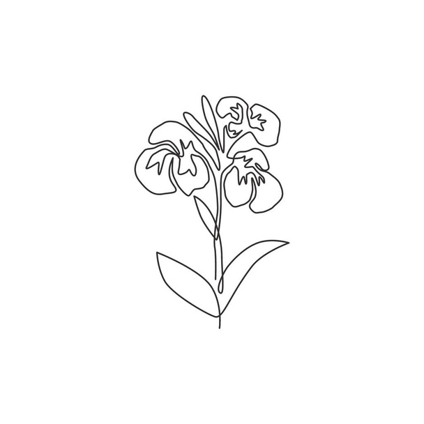 Eine durchgehende Linie zeichnet Schönheit frische canna für Garten-Logo. Printable dekorative Canna Lilie Blume Konzept für Home Decor Wandkunst Posterdruck. Moderne einzeilige Zeichnung Design Vektor Illustration - Vektor, Bild