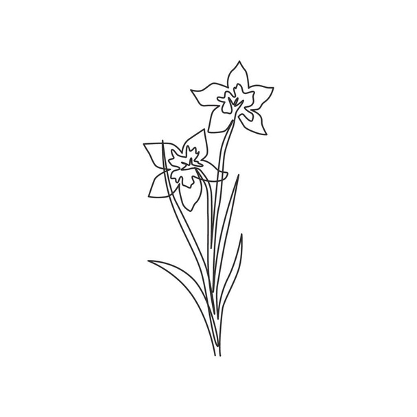 Single continuous line drawing of beauty fresh narcissus for home wall decor art poster print. Printable decorative daffodil flower for card ornament. Modern one line draw design vector illustration - ベクター画像
