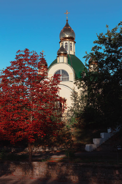 Östlich-orthodoxe Kirche tagsüber mit Bäumen vor blauem Himmel bedeckt  - Foto, Bild