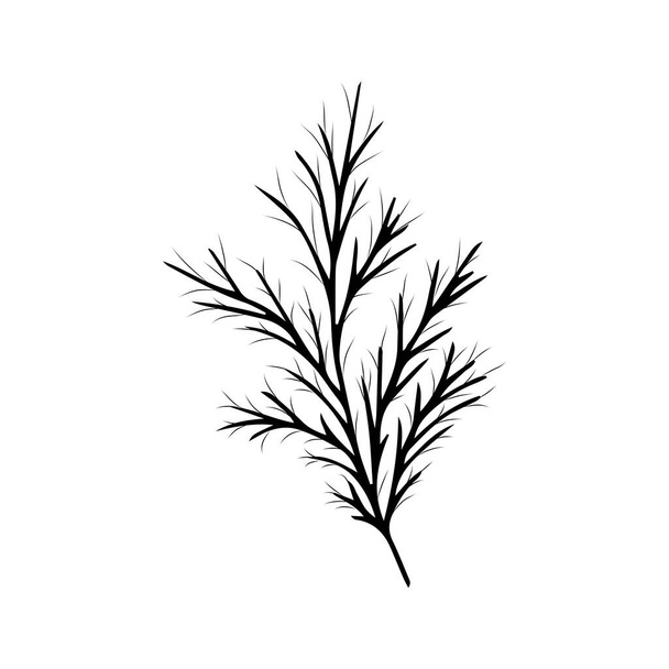 Sketch of a dill branch. Monochrome illustration. Vector doodle isolated element for design. - ベクター画像