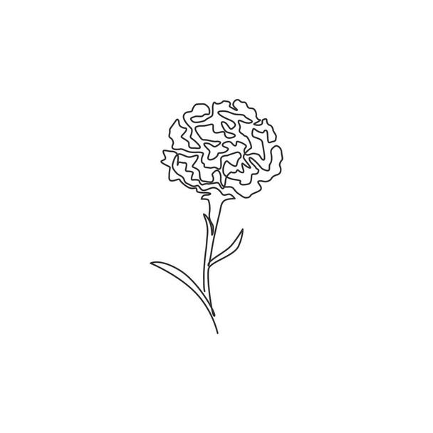 One continuous line drawing beauty fresh carnation for home wall art decor print poster. Decorative dianthus caryophyllus flower for invitation card. Trendy single line draw design vector illustration - Вектор,изображение