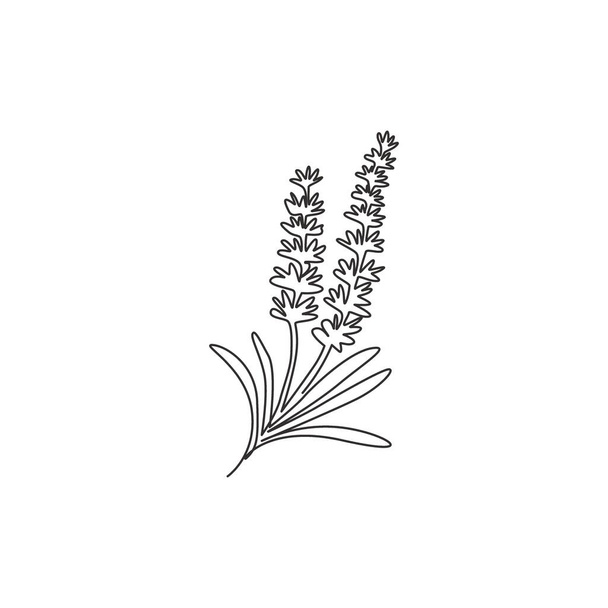 Single one line drawing beauty of fresh lavandula for home wall decor art print poster. Decorative lavender flower for greeting card ornament. Modern continuous line draw design vector illustration - Вектор, зображення