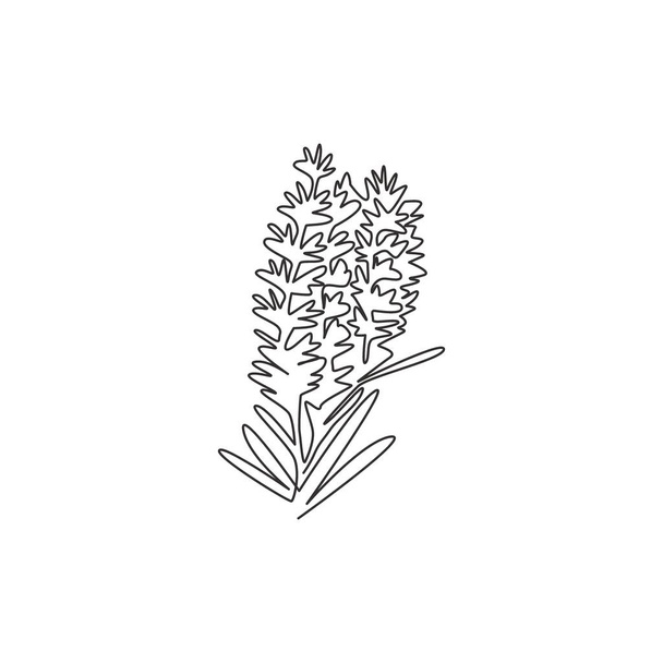 One continuous line drawing of beauty fresh lavandula for garden logo. Printable decorative lavender flower concept for home wall decor poster art print. Single line draw design vector illustration - Vector, Image