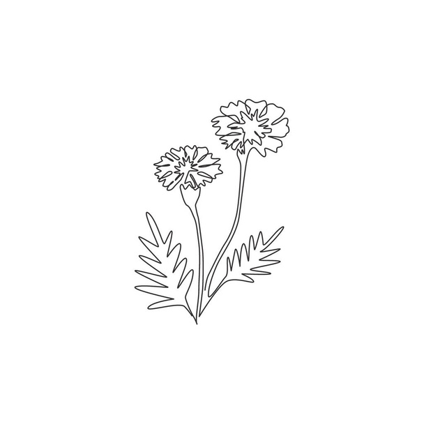 Einzeilige Zeichnung der Schönheit frische Tagetes erecta für Garten-Logo. Dekorative Ringelblumen-Konzept für Home Decor Wandkunst Posterdruck. Moderne kontinuierliche Linienzeichnung Design Vektor Illustration - Vektor, Bild