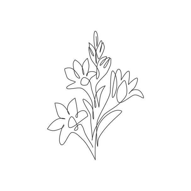 Egyetlen soros rajz a szépség friss agave amica kerti logó. Dekoratív tuberózvirág koncepció otthoni művészet faldekoráció poszter nyomtatás. Modern folyamatos vonalhúzás design vektor illusztráció - Vektor, kép