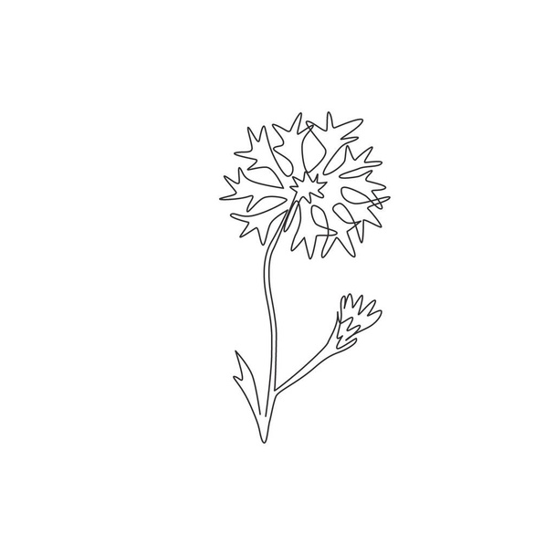 One continuous line drawing of beauty fresh centaurea cyanus for home decor wall art poster print. Decorative cornflower concept for invitation card. Trendy single line draw design vector illustration - Vector, Image
