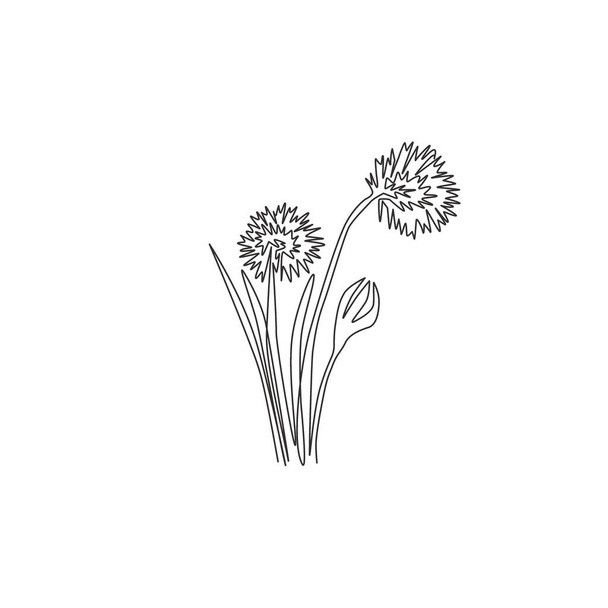 Single one line drawing of beauty fresh allium tuberosum for garden logo. Decorative chives flower concept for home wall decor art poster print. Modern continuous line draw design vector illustration - Vektör, Görsel