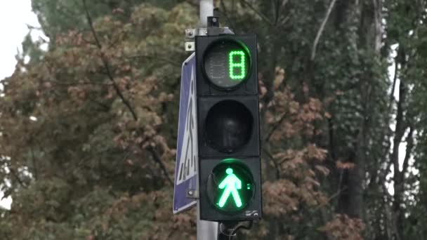 Yanıp sönen ve renk değiştiren trafik ışıkları. Trafik ışıklarından sola dönmek için yeşil bir ok yanıyor., - Video, Çekim