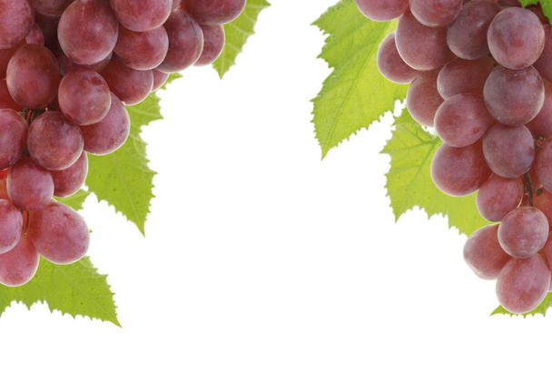 red grape - Photo, Image