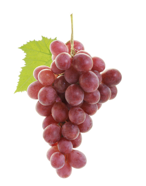 winogron - Zdjęcie, obraz