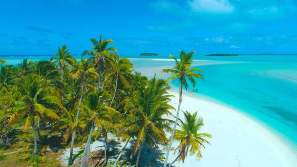 DRONE: Vista deslumbrante da exuberante ilha exótica no turquesa Oceano Pacífico. - Foto, Imagem