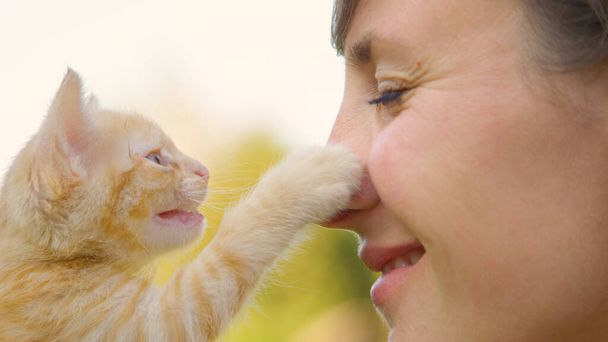 Sluiten omhoog: Medue oranje tabby kitten raakt lachende liefdevolle vrouw neus. - Foto, afbeelding