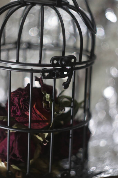 A close up of a cage with dry roses - Foto, imagen