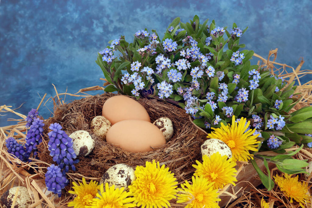 Temporada de primavera composición abstracta con huevos marrones y codornices en nido natural con no me olvides, jacintos de uva y flores de diente de león. Sobre fondo azul moteado.  - Foto, imagen