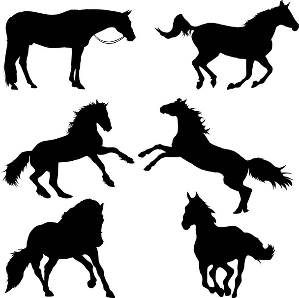 Cavallo silhouette set buono per clipart - Vettoriali, immagini