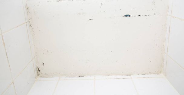 Molde o hongo de la pared en el cuarto de baño causando moho negro o marrón en el cuarto de baño o baño causado por el agua caliente y la acumulación de bacterias. - Foto, Imagen