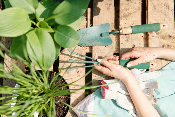 Visão geral das mãos de jardineiro yong feminino ou trabalhador de hothouse segurando ferramenta de trabalho enquanto cuida do solo em vasos com plantas verdes - Foto, Imagem