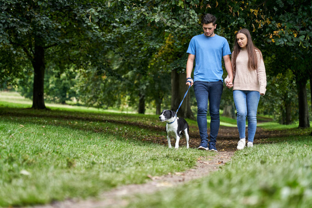 Nuori pari kävelyttämässä lemmikkikoiraansa polkua pitkin puistossa - Valokuva, kuva