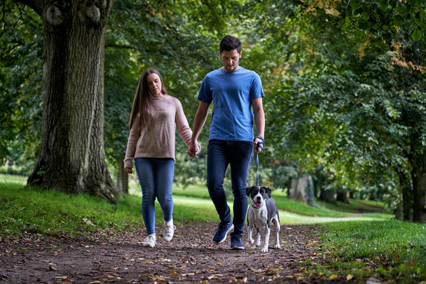 Nuori pari kävelyttämässä lemmikkikoiraansa polkua pitkin puistossa - Valokuva, kuva