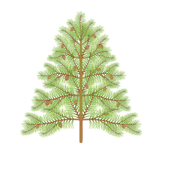 Fir branch. Christmas tree, pine needles isolated on transparent background  Stock Vector