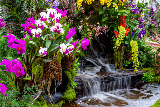 Waterfall in garden,Orchid garden. Beautiful flower garden. beautiful garden.  - Photo, Image