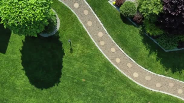 Jardín privado con árboles y arbustos en verano. Hermoso diseño de paisaje con camino curvilíneo y césped verde. - Metraje, vídeo