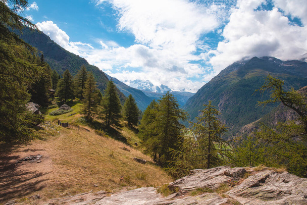 vihreä vuoristo maisema kesällä puita ja sininen taivas Alpeilla Sveitsi kaunis tausta aurinkoisena päivänä - Valokuva, kuva