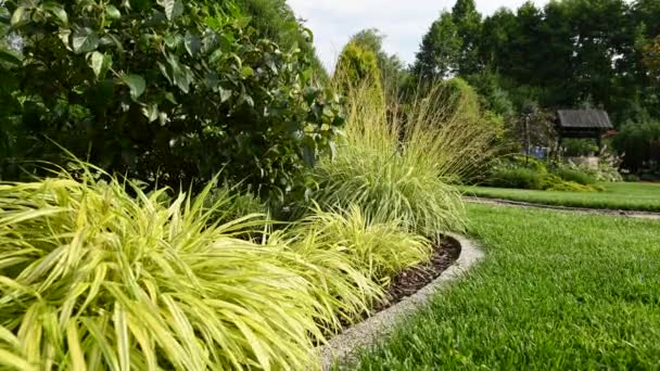 Belle erbe ornamentali arbusti e piante in giardino lussureggiante ben consolidato. Green Yard Area con pozzo d'acqua. - Filmati, video